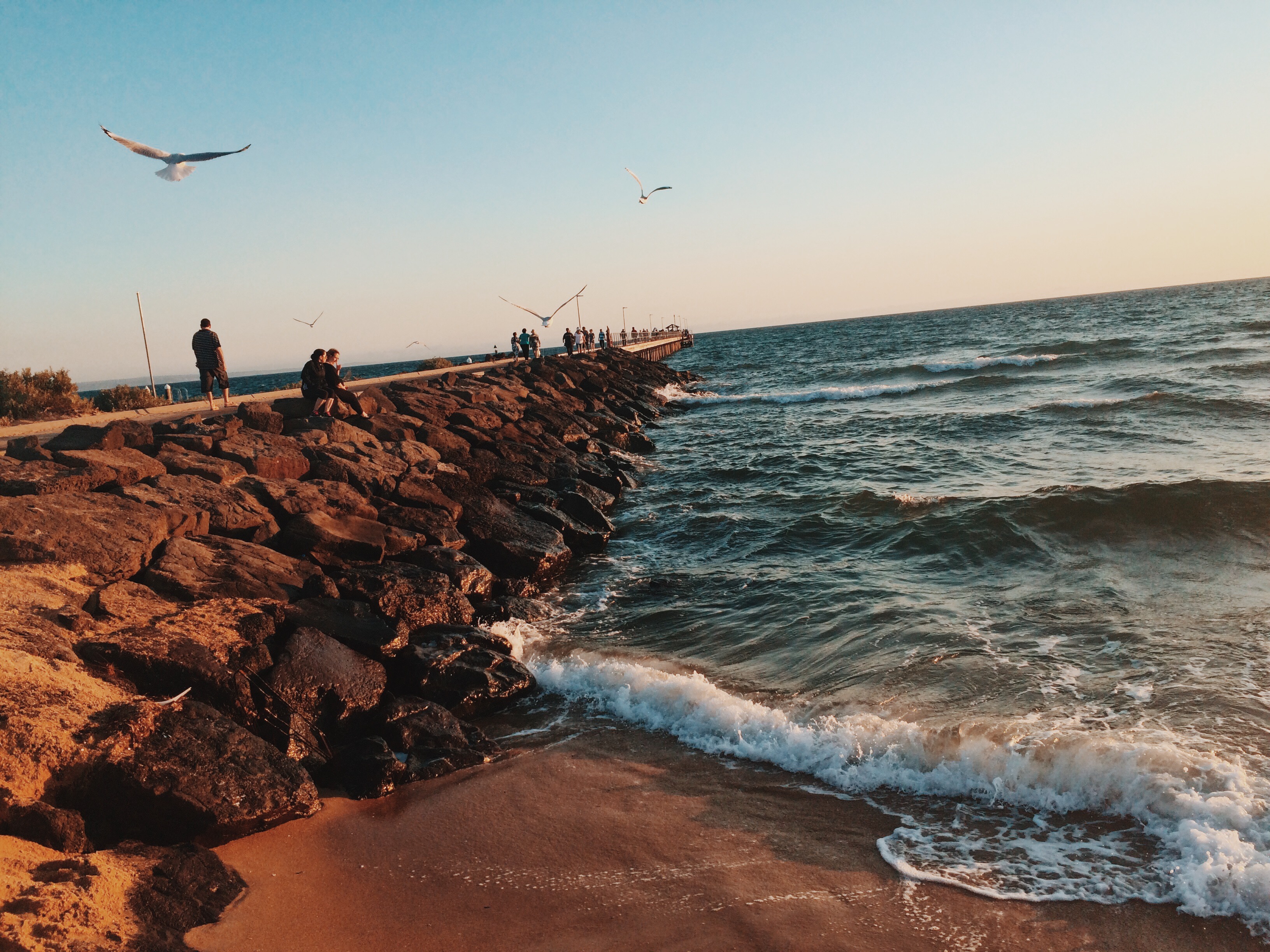 Processed with VSCO with c8 preset