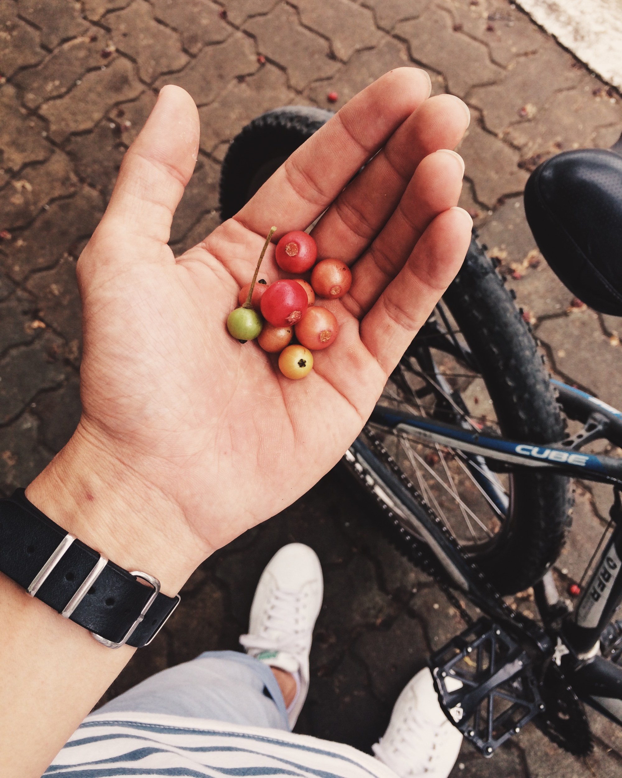 Processed with VSCO with lv03 preset