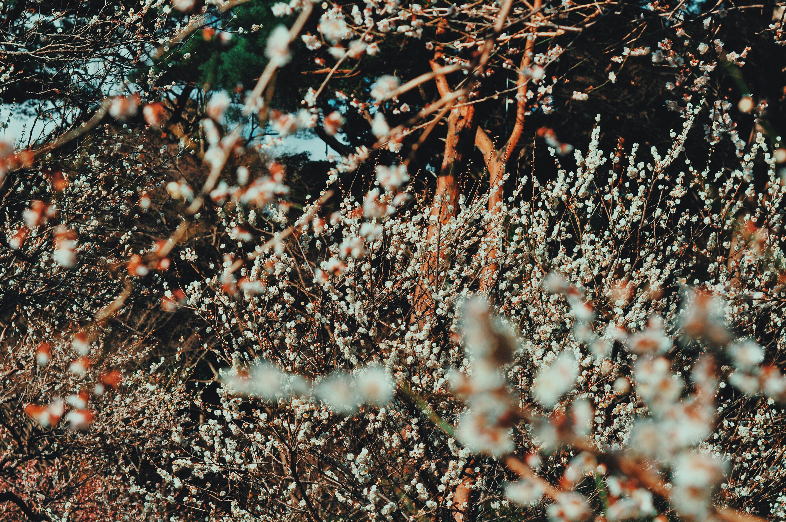 Processed with VSCO with c9 preset