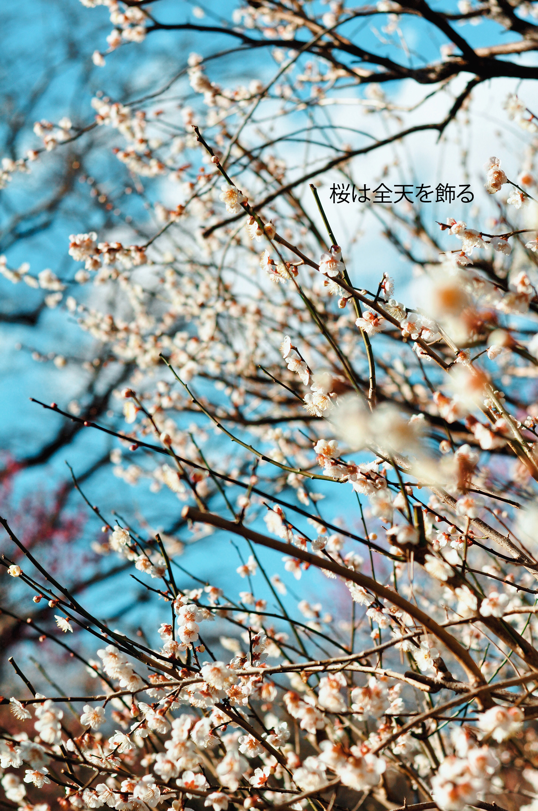 Processed with VSCO with c8 preset