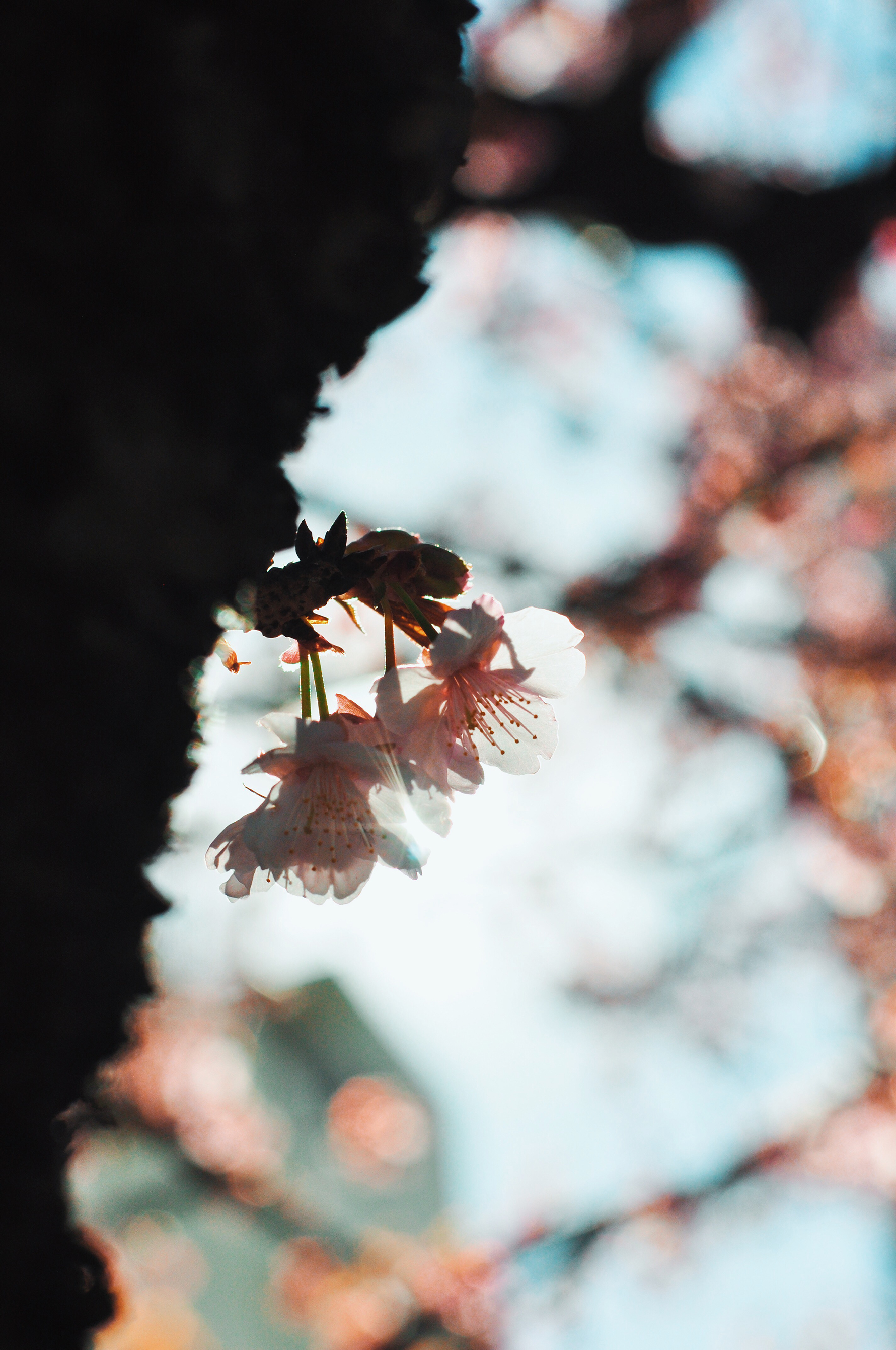 Processed with VSCO with c8 preset