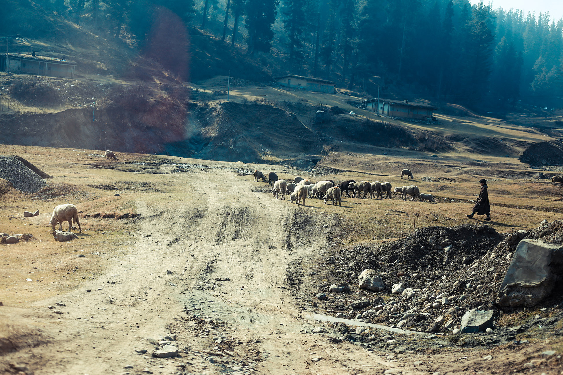 nhiep anh cam xuc 2 (2)