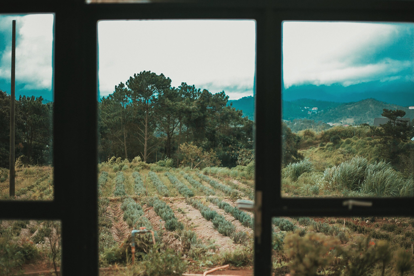 6865c59675279179c836