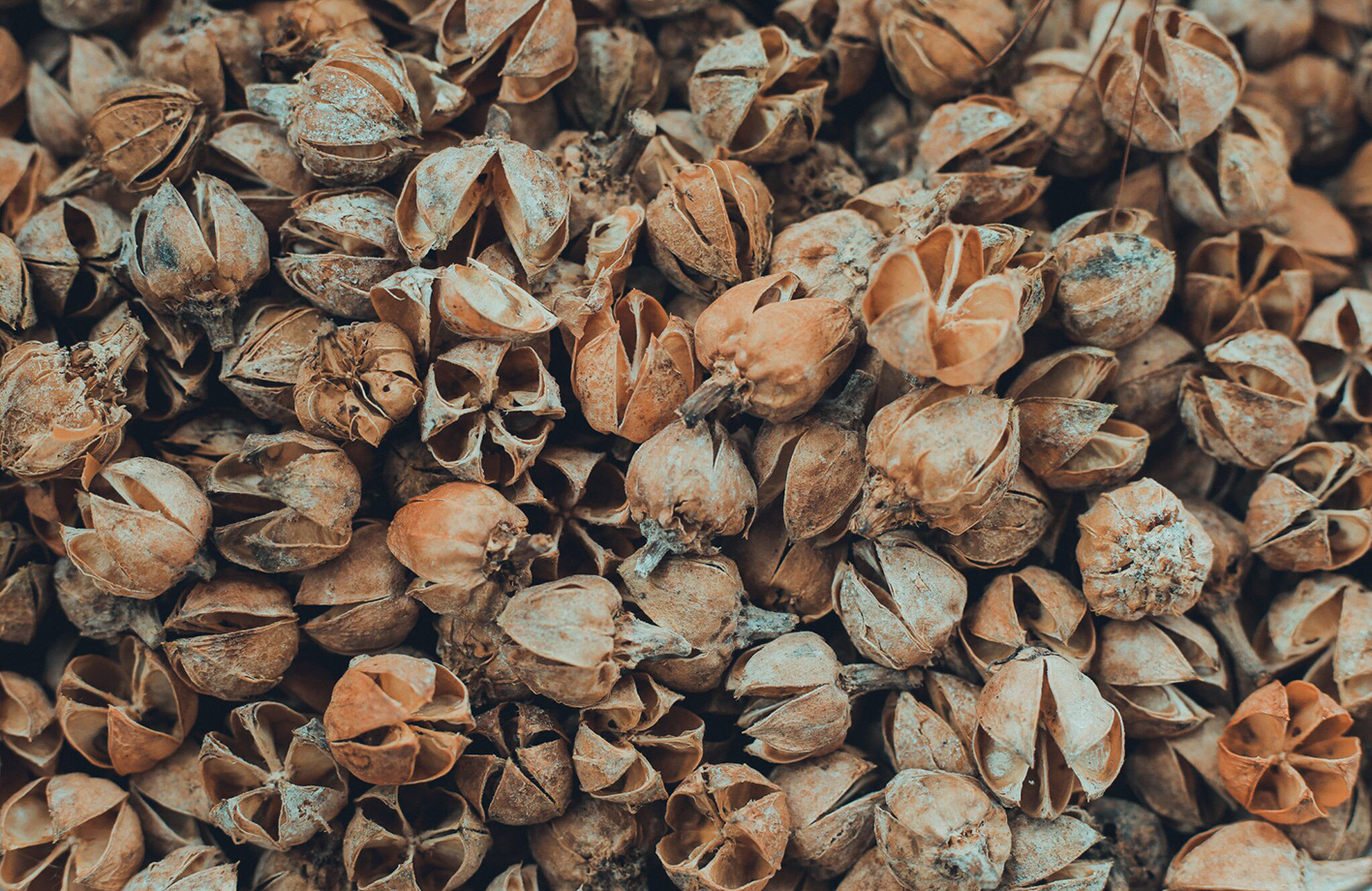 abbe95b52604c25a9b15